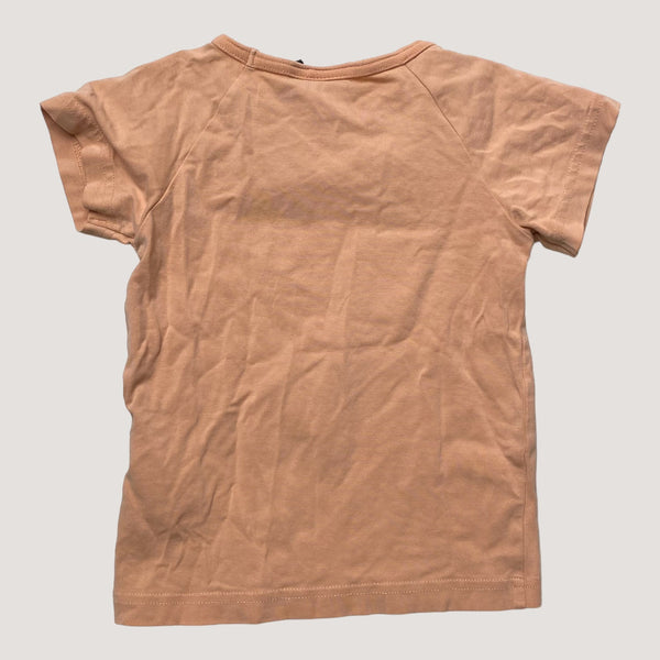 Papu t-shirt, cake | 86/92cm